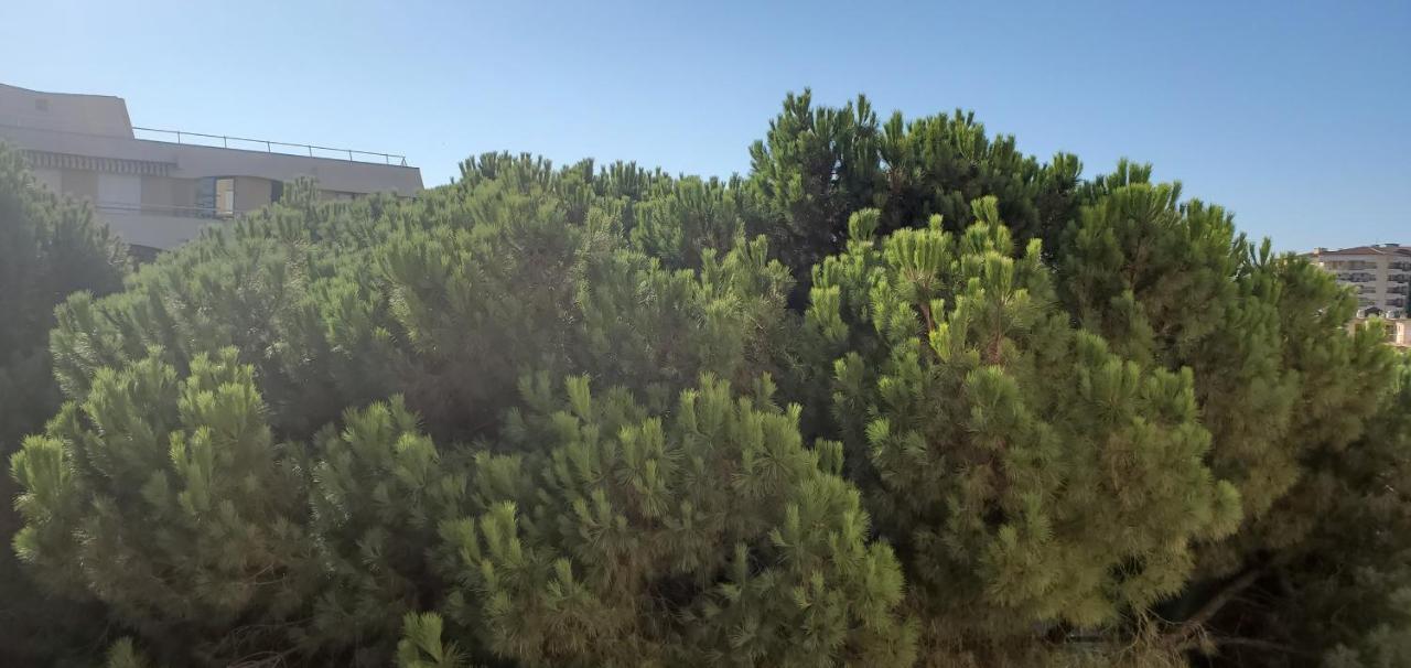 Frejus Plage La Miougrano, T2-3 49M2, 5 Personn Kültér fotó